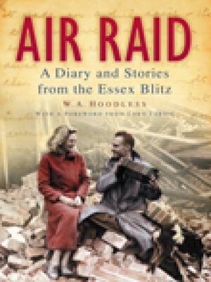 cover image of Air Raid